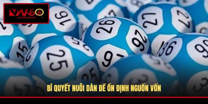 Bí quyết nuôi dàn đề ổn định nguồn vốn